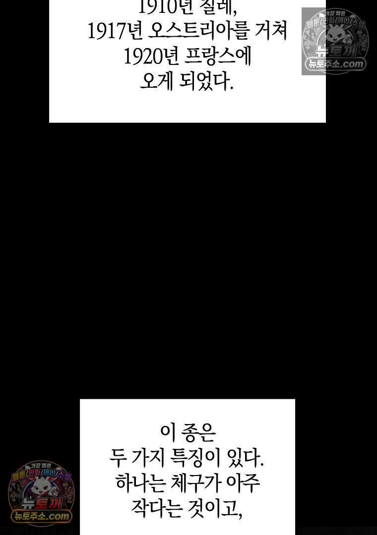 개미 29화 6