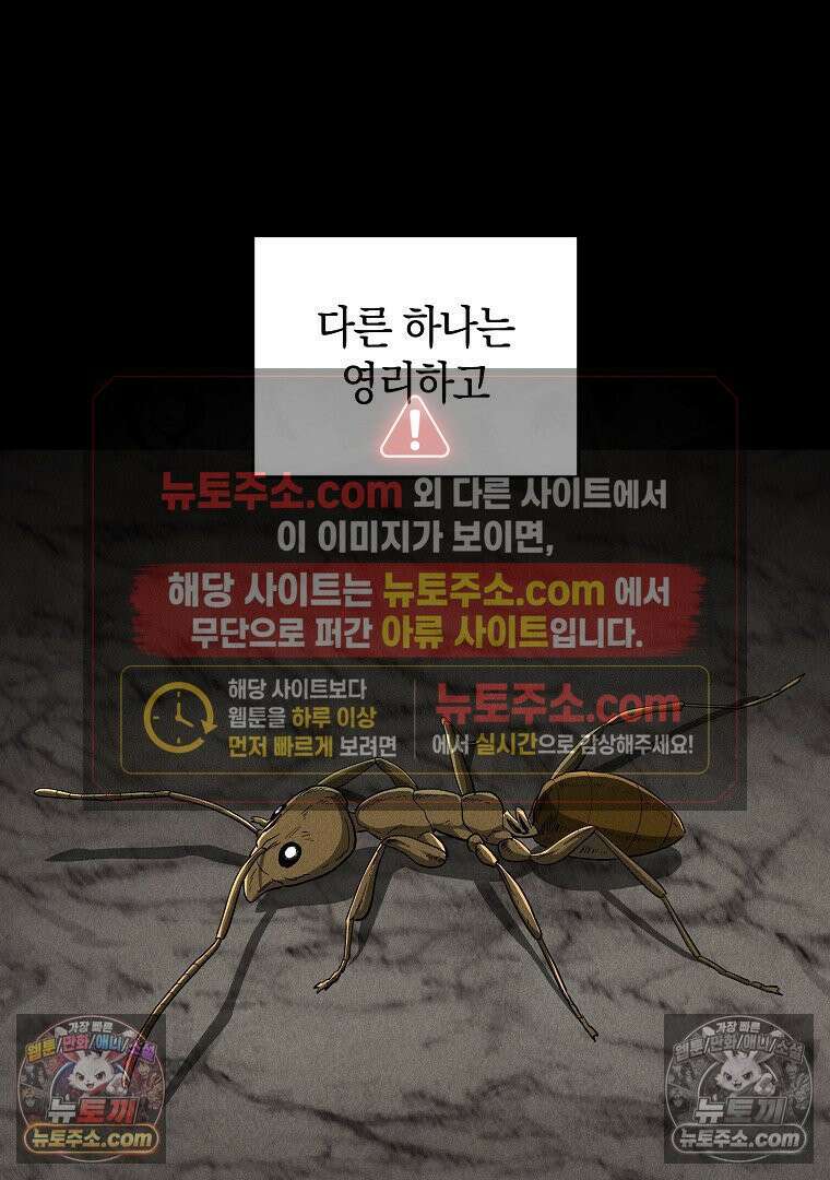 개미 29화 8