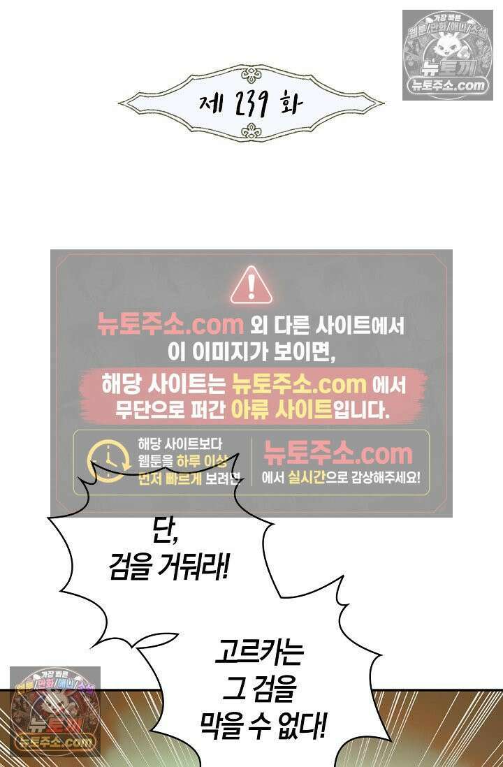 사신 영웅전: 바보 마법사 영웅이 되다 사신영웅전 239화 2