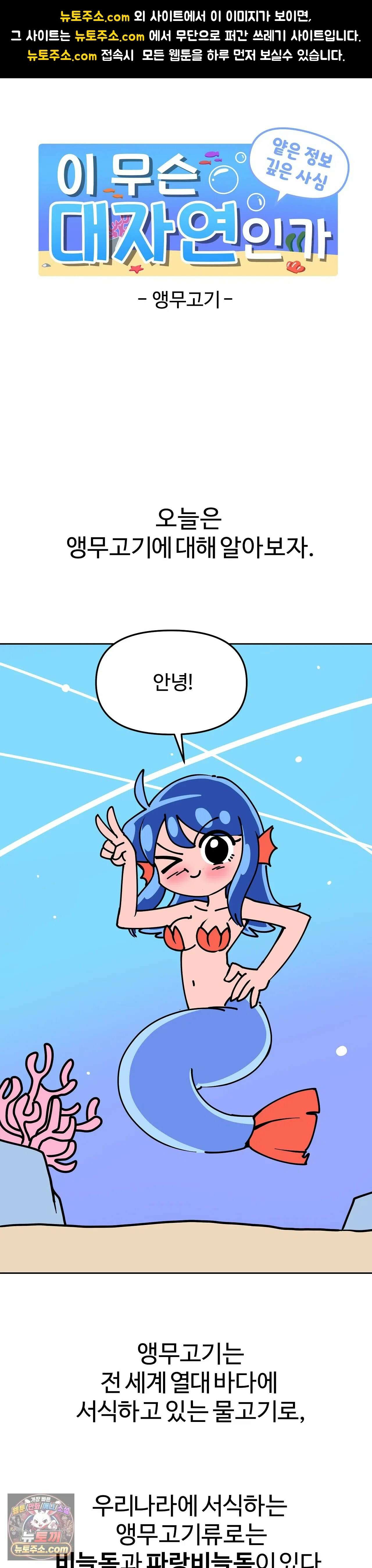 이 무슨 대자연인가 1화 - 앵무고기 1