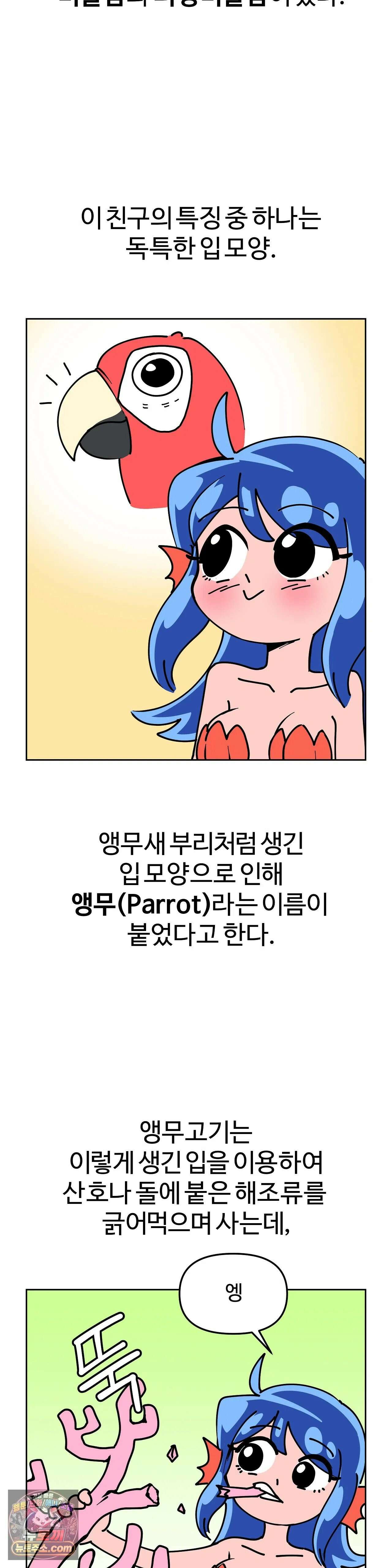 이 무슨 대자연인가 1화 - 앵무고기 2