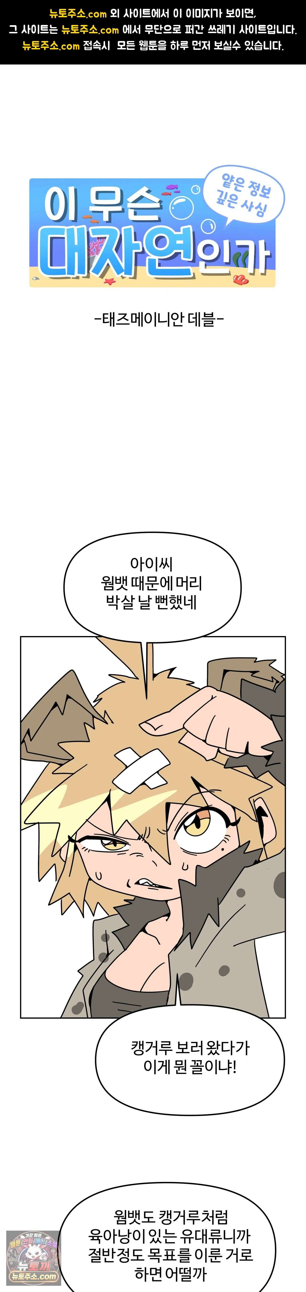 이 무슨 대자연인가 98화 - 태즈메이니아데블 1