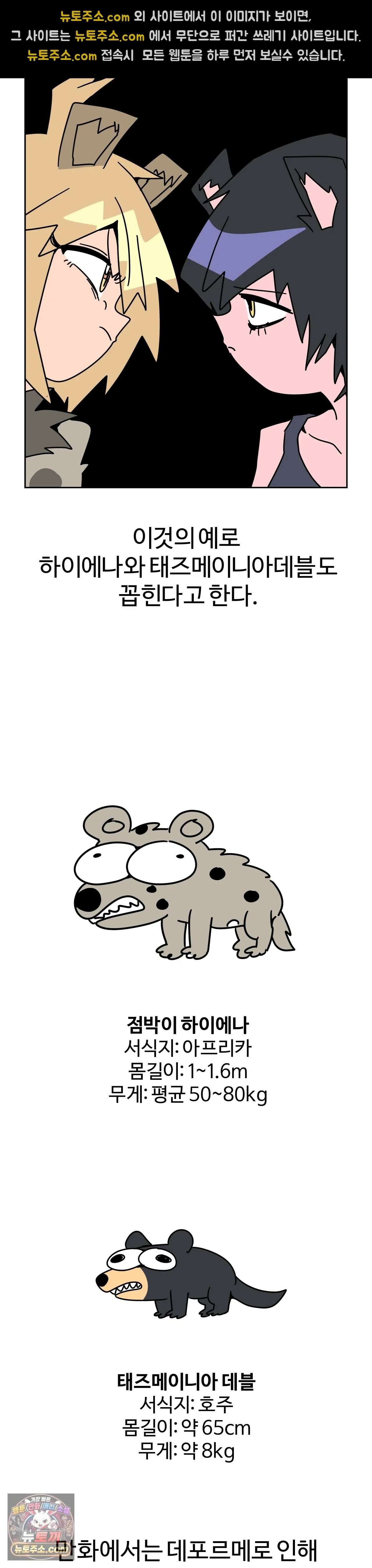 이 무슨 대자연인가 98화 - 태즈메이니아데블 16