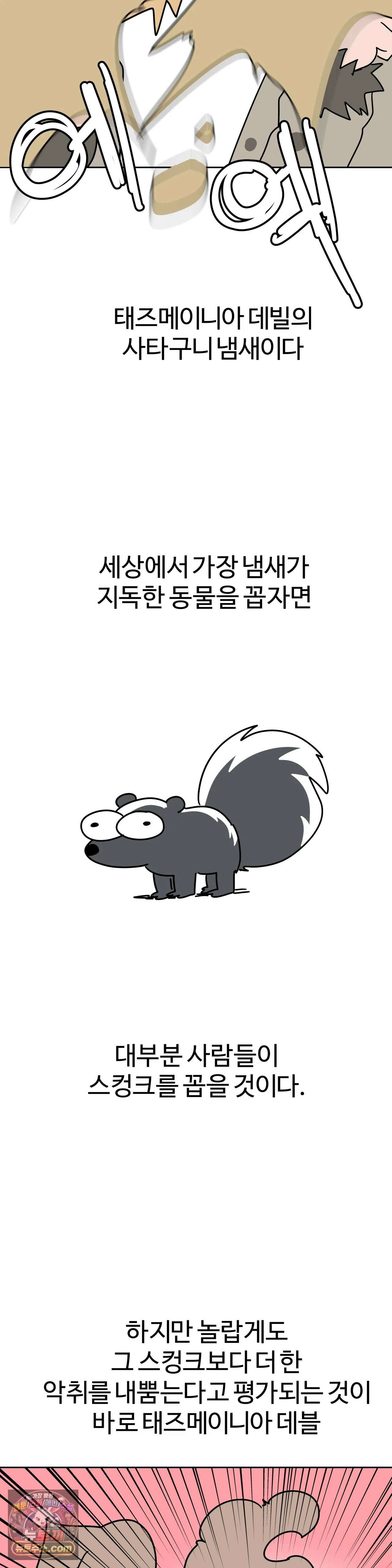 이 무슨 대자연인가 98화 - 태즈메이니아데블 28