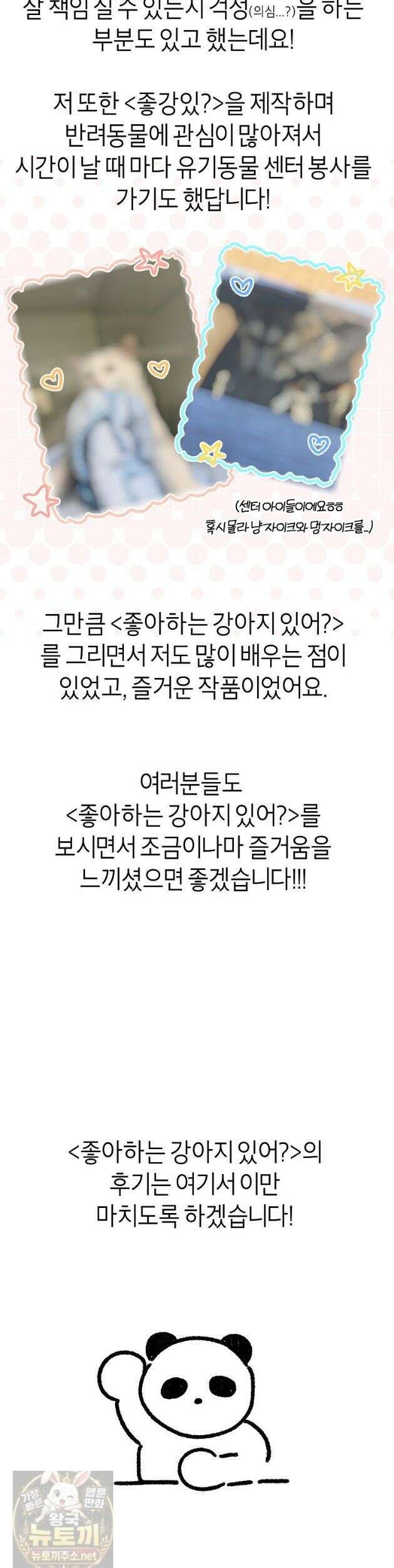 좋아하는 강아지 있어? 좋아하는 강아지 있어 후기 5