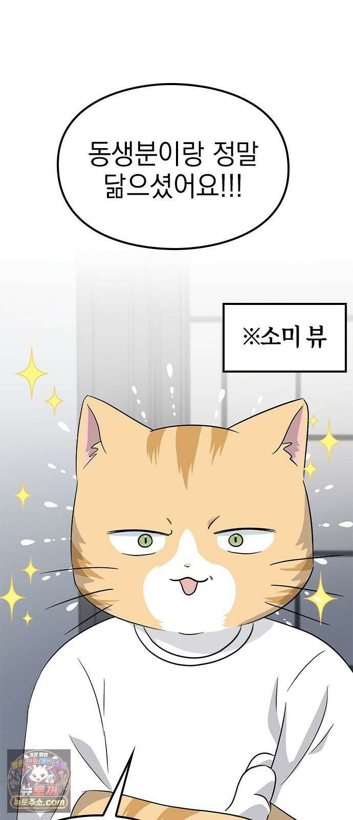 세상 사람들이 모두가 고양이라면 6화 19