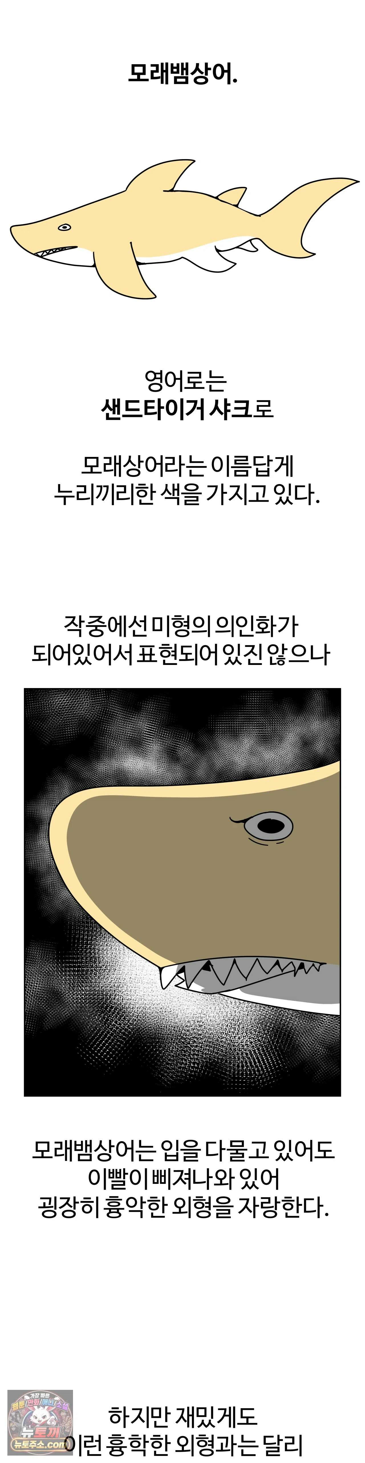 이 무슨 대자연인가 101화 - 모래뱀상어1 6