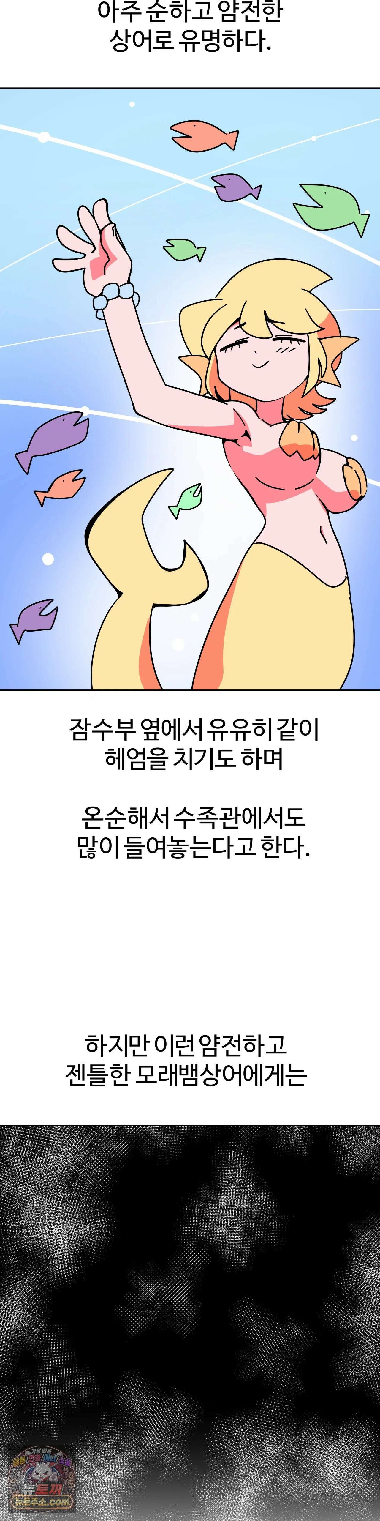 이 무슨 대자연인가 101화 - 모래뱀상어1 7