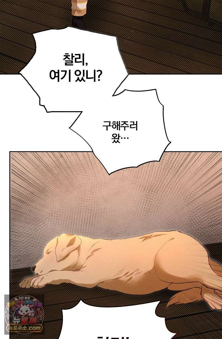 디자이어 미 이프 유 캔(Desire Me If You Can) 13화 63