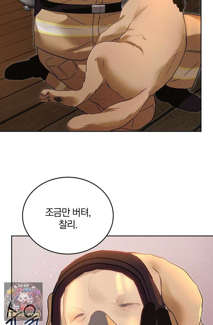 디자이어 미 이프 유 캔(Desire Me If You Can) 13화 65