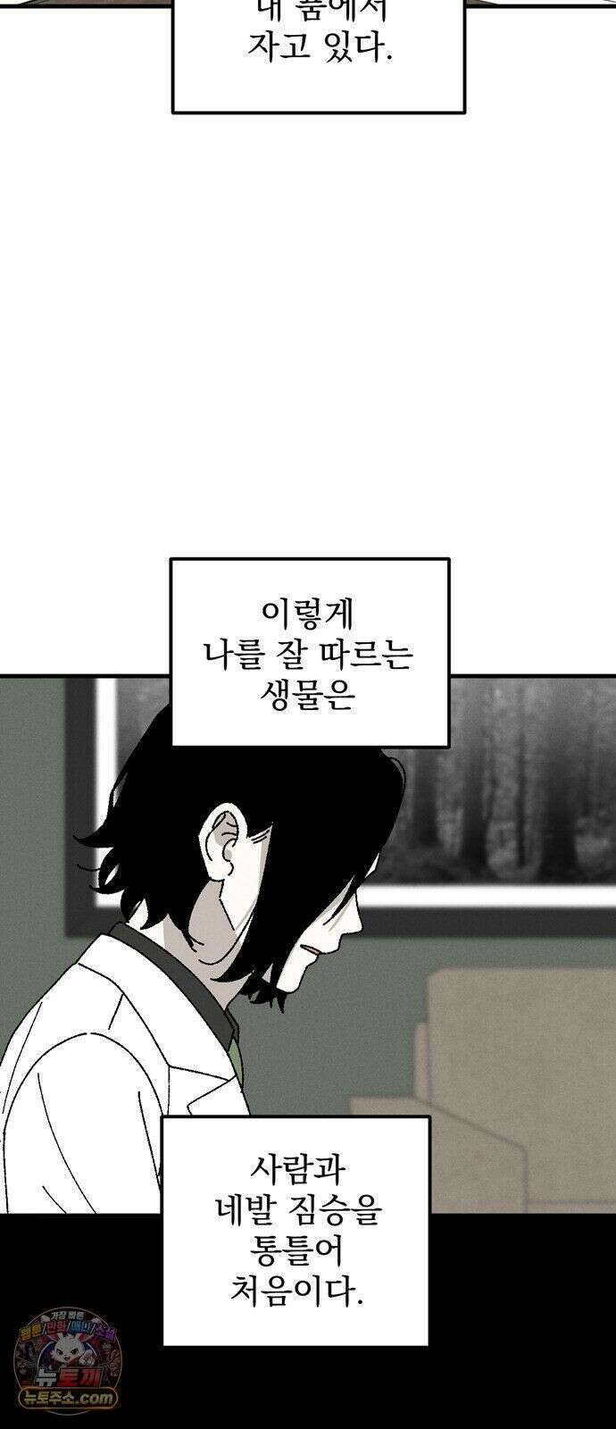 티라노 노경수 66크아앙 9