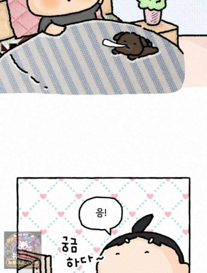 유니유니툰 44화． 쪼리의 과거 2