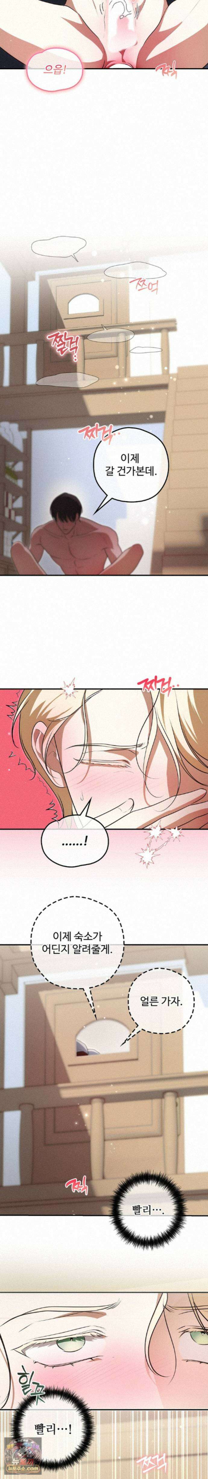 오윈 백작의 절륜 노예 41화 19