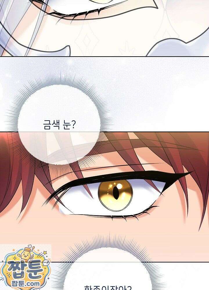 셀럽 레이디 76화 44