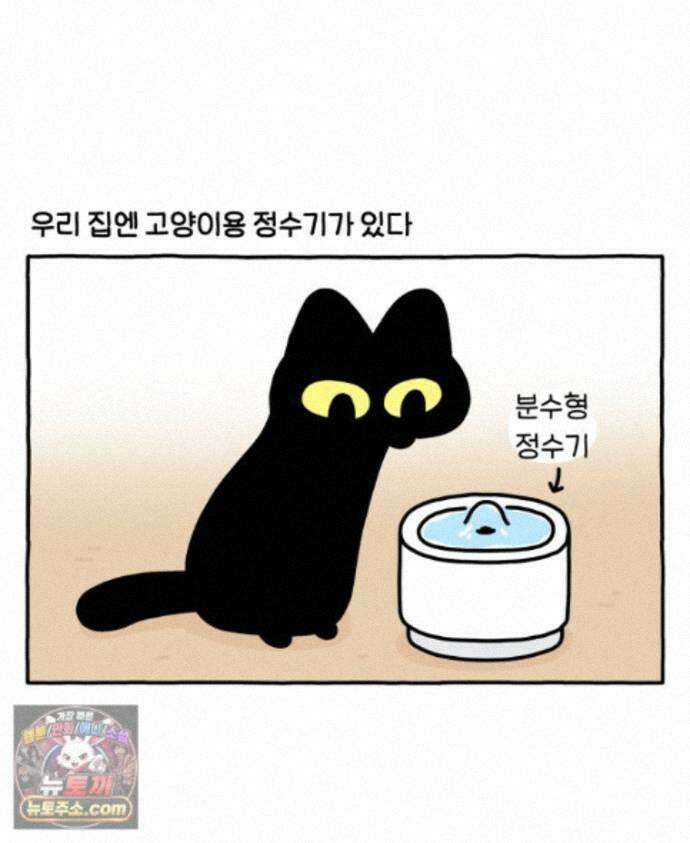 먼지 덩어리 짱덕 73． 물 마시는 고양이 2