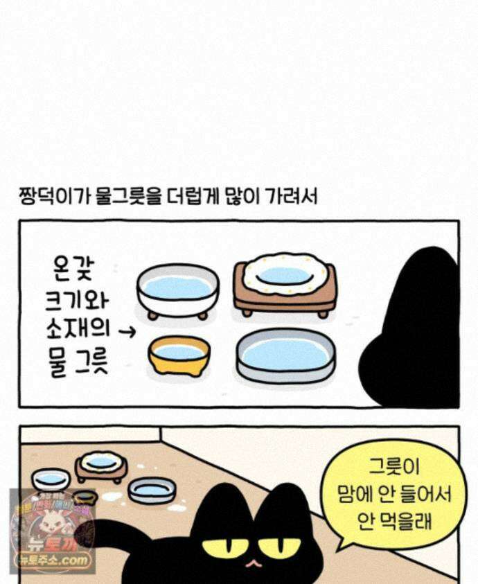 먼지 덩어리 짱덕 73． 물 마시는 고양이 3