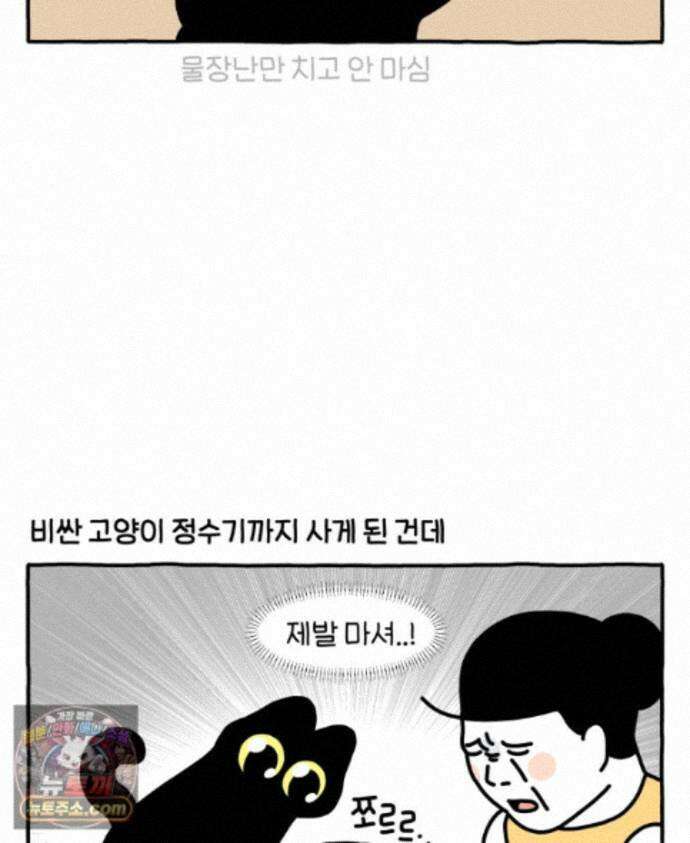 먼지 덩어리 짱덕 73． 물 마시는 고양이 4