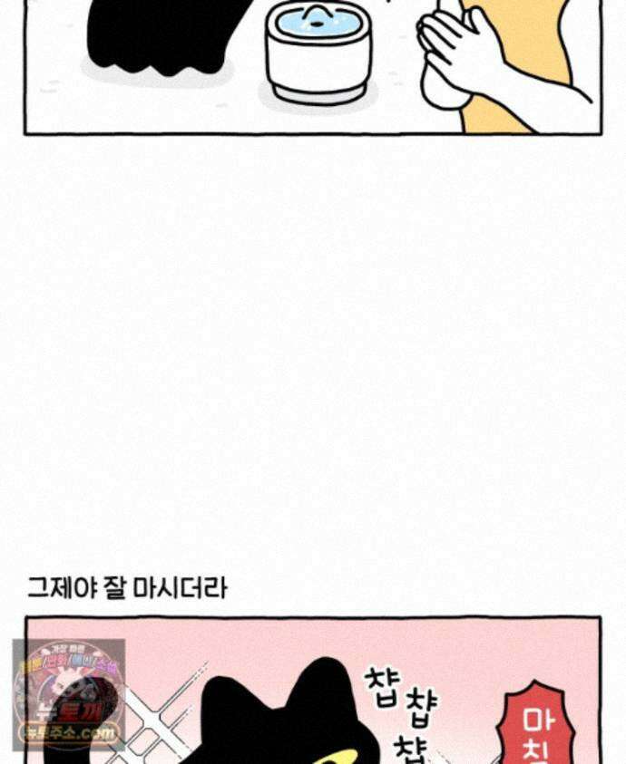 먼지 덩어리 짱덕 73． 물 마시는 고양이 5