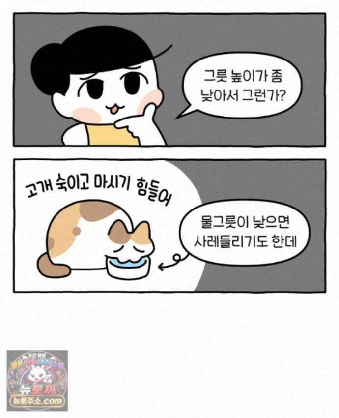먼지 덩어리 짱덕 73． 물 마시는 고양이 10