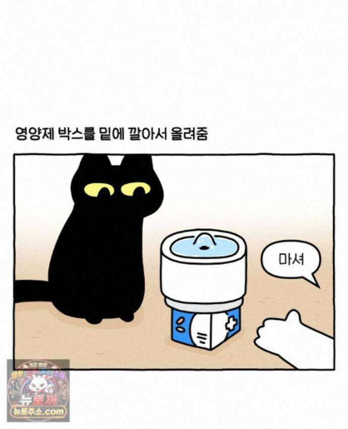 먼지 덩어리 짱덕 73． 물 마시는 고양이 11