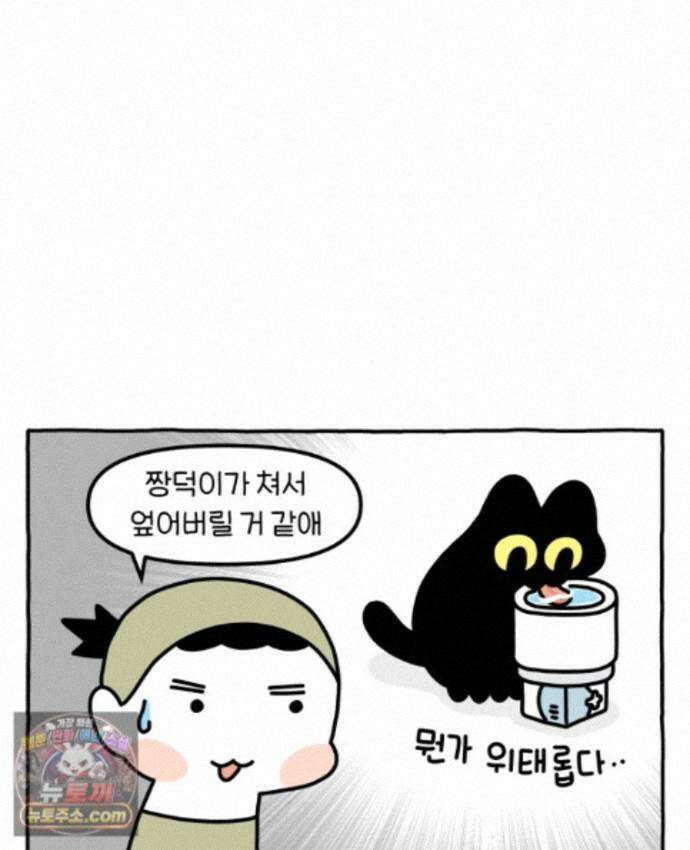 먼지 덩어리 짱덕 73． 물 마시는 고양이 12