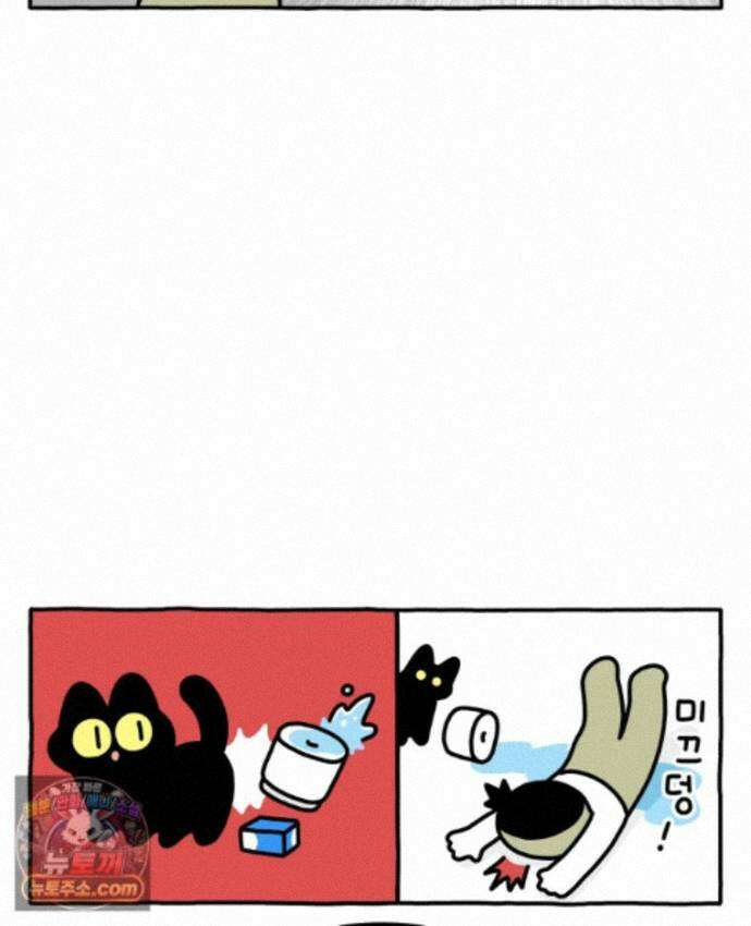 먼지 덩어리 짱덕 73． 물 마시는 고양이 13