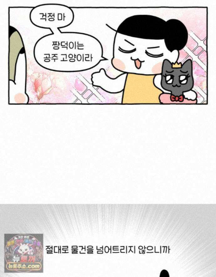 먼지 덩어리 짱덕 73． 물 마시는 고양이 15