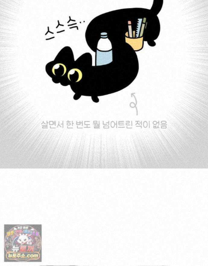 먼지 덩어리 짱덕 73． 물 마시는 고양이 16