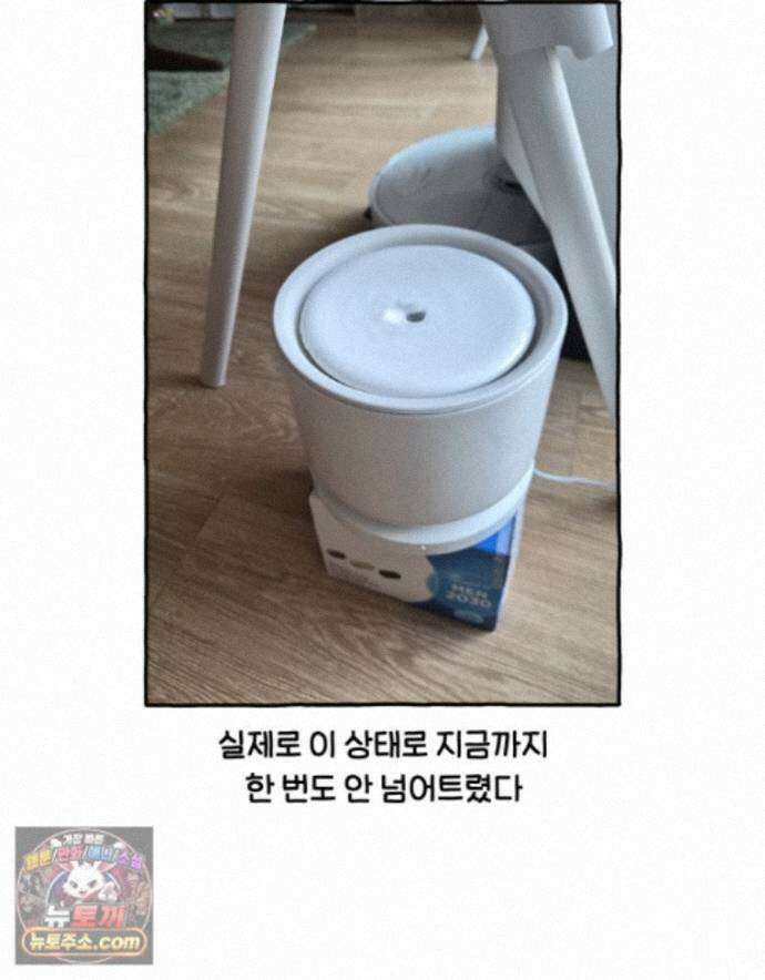 먼지 덩어리 짱덕 73． 물 마시는 고양이 17
