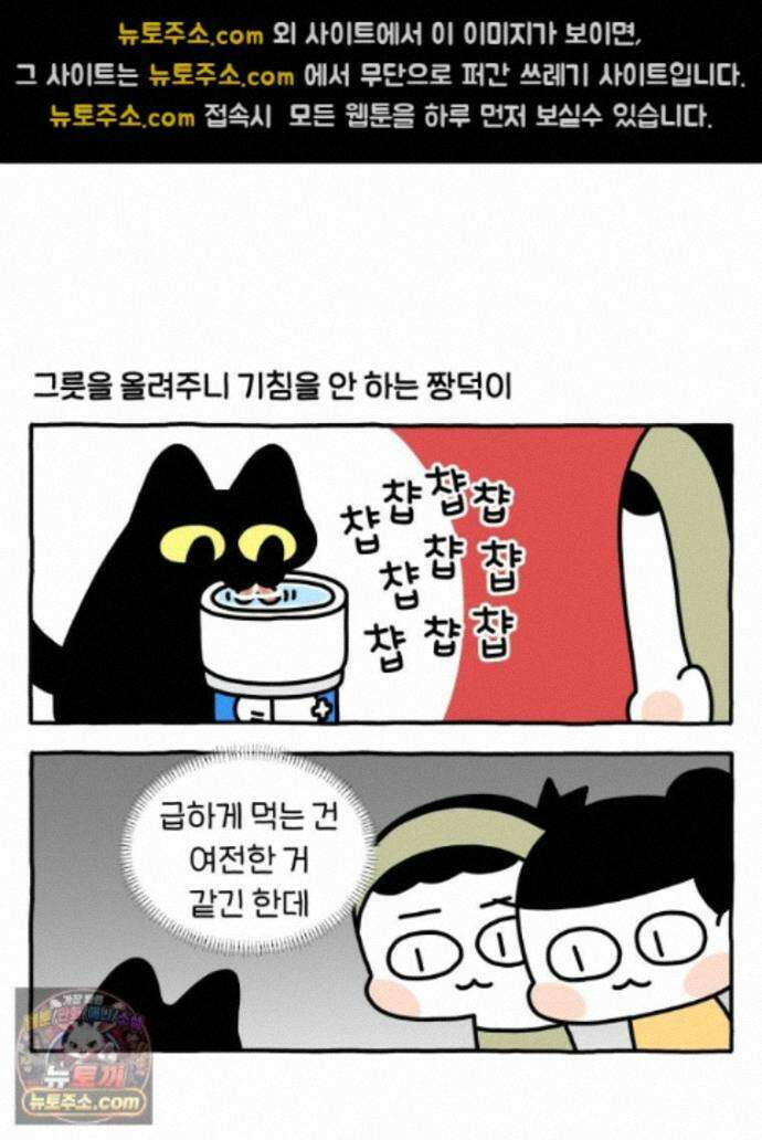 먼지 덩어리 짱덕 73． 물 마시는 고양이 18