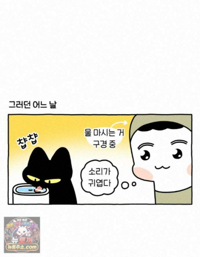 먼지 덩어리 짱덕 73． 물 마시는 고양이 20
