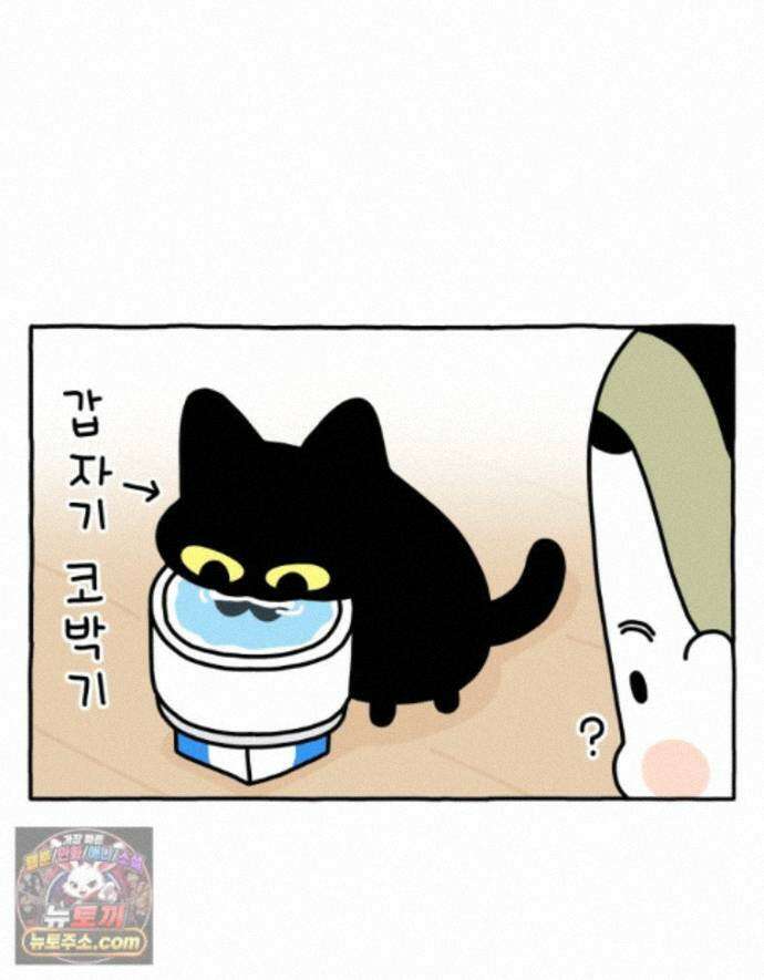 먼지 덩어리 짱덕 73． 물 마시는 고양이 21