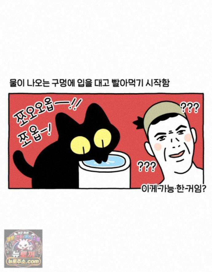 먼지 덩어리 짱덕 73． 물 마시는 고양이 23
