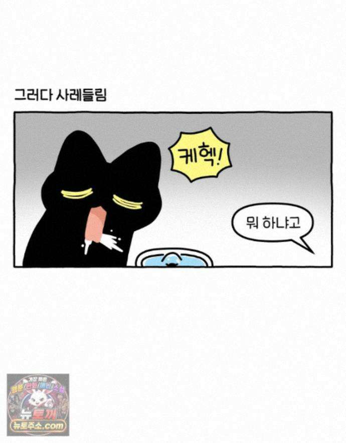 먼지 덩어리 짱덕 73． 물 마시는 고양이 24