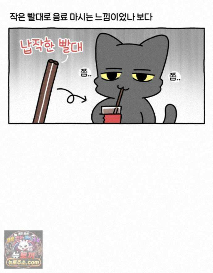 먼지 덩어리 짱덕 73． 물 마시는 고양이 26