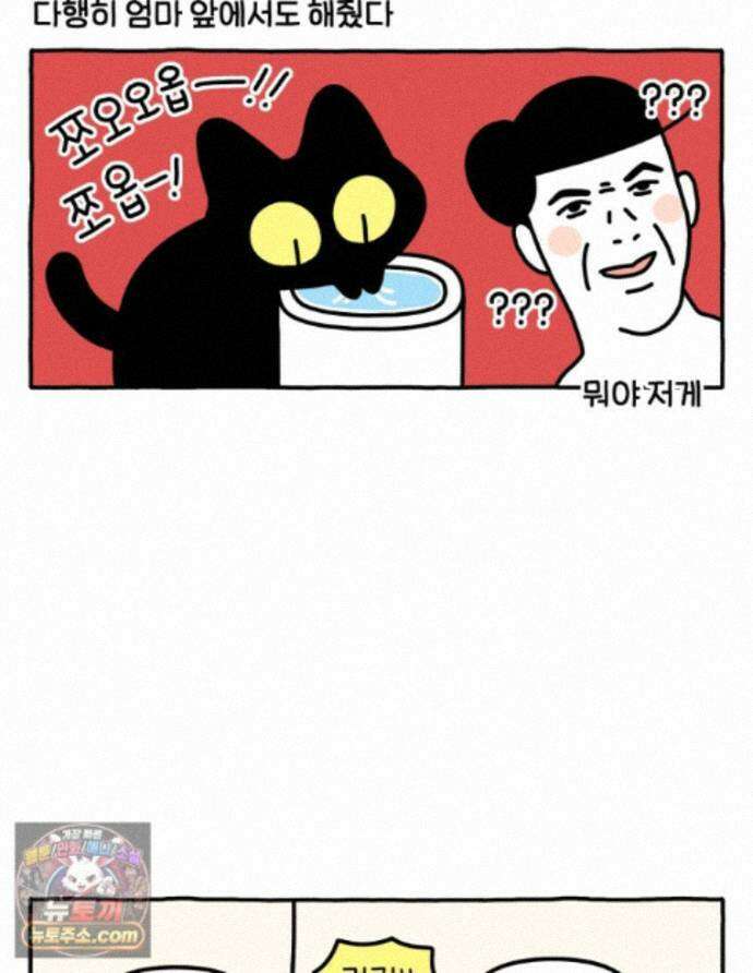 먼지 덩어리 짱덕 73． 물 마시는 고양이 30