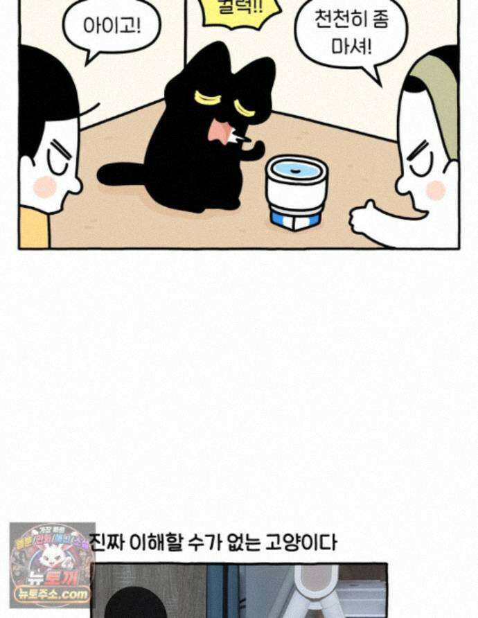 먼지 덩어리 짱덕 73． 물 마시는 고양이 31