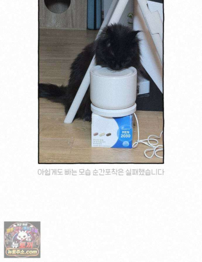 먼지 덩어리 짱덕 73． 물 마시는 고양이 32