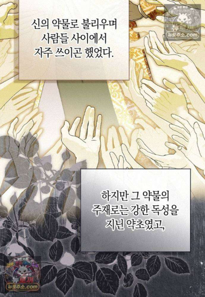 신데렐라는 이 멧밭쥐가 데려갑니다 41화 6