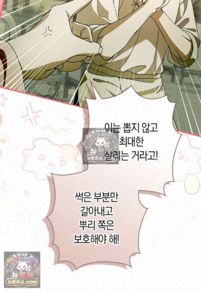 신데렐라는 이 멧밭쥐가 데려갑니다 41화 11