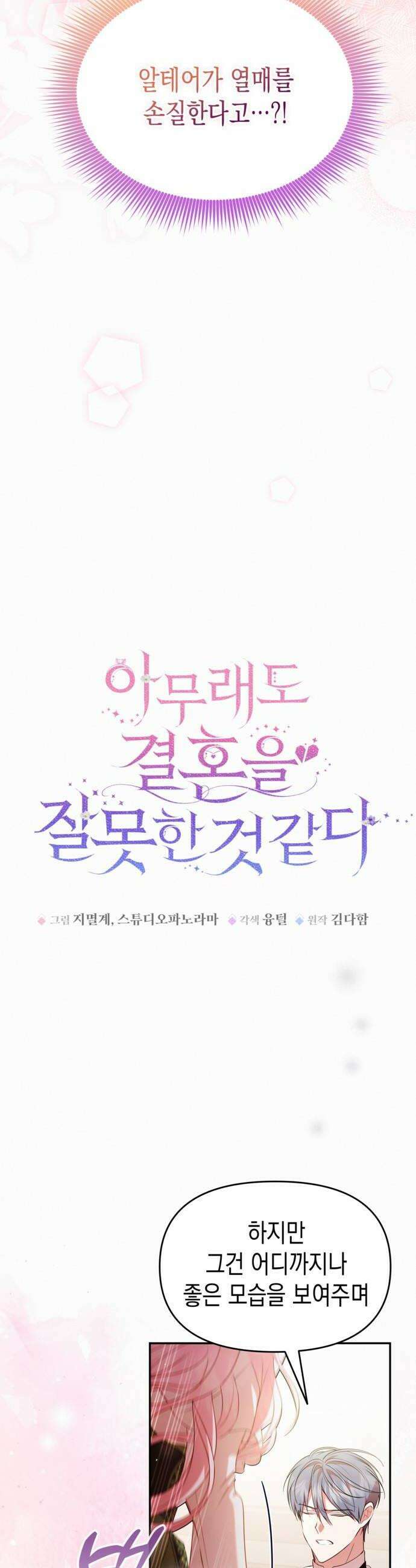 아무래도 결혼을 잘못한 것 같다 43화 10