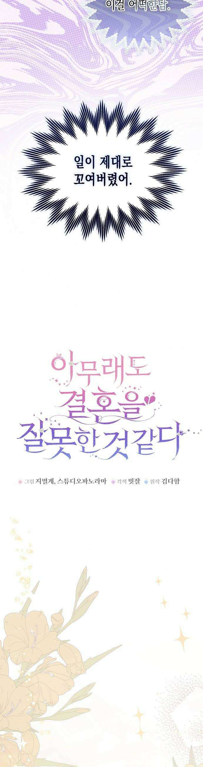 아무래도 결혼을 잘못한 것 같다 51화 14