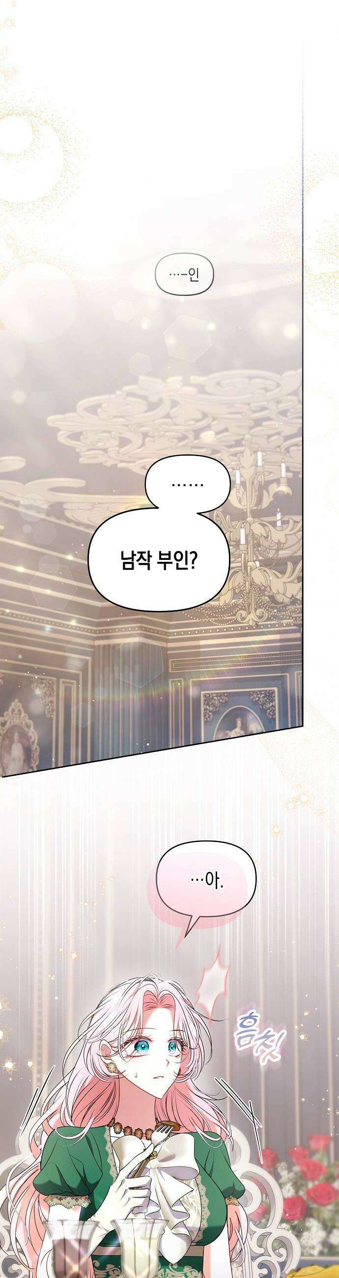 아무래도 결혼을 잘못한 것 같다 51화 24