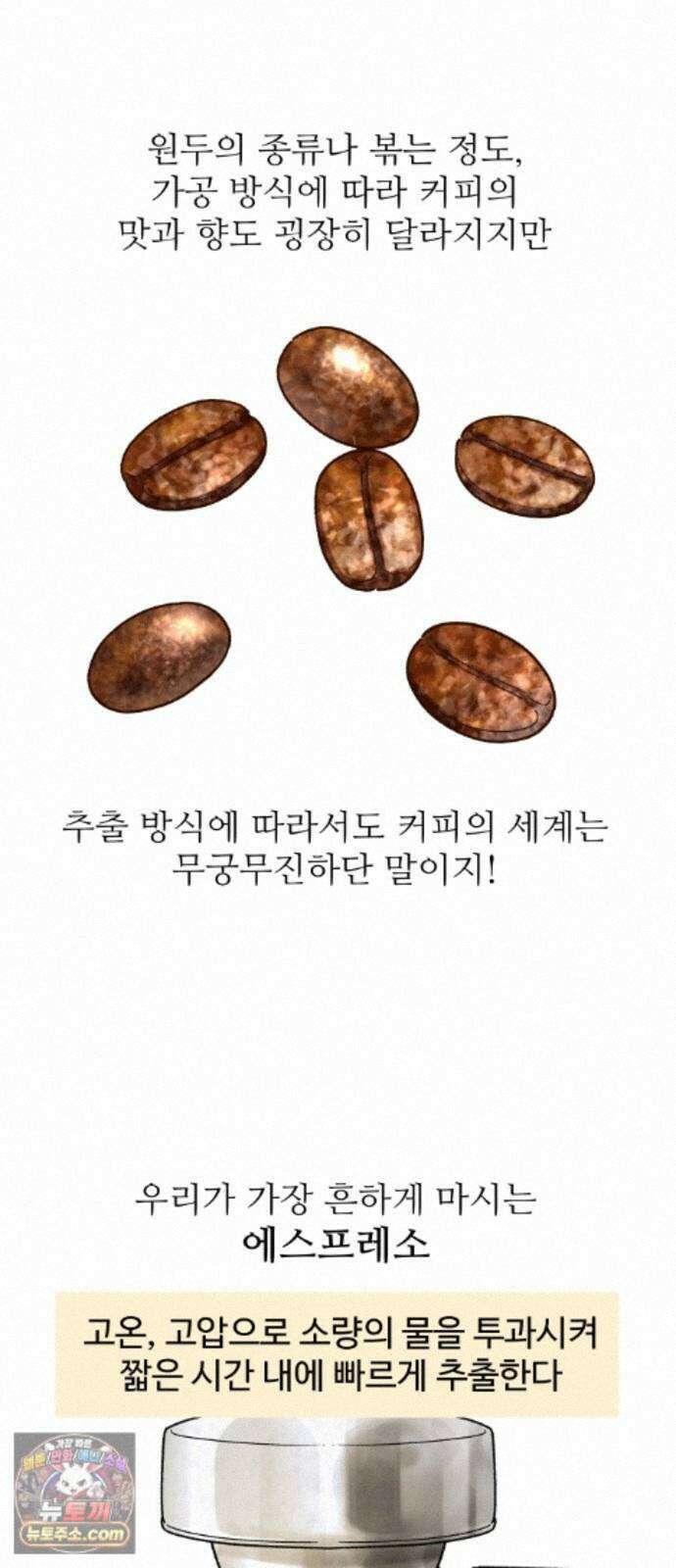먹는 인생2 57화 튀르크 커피 4