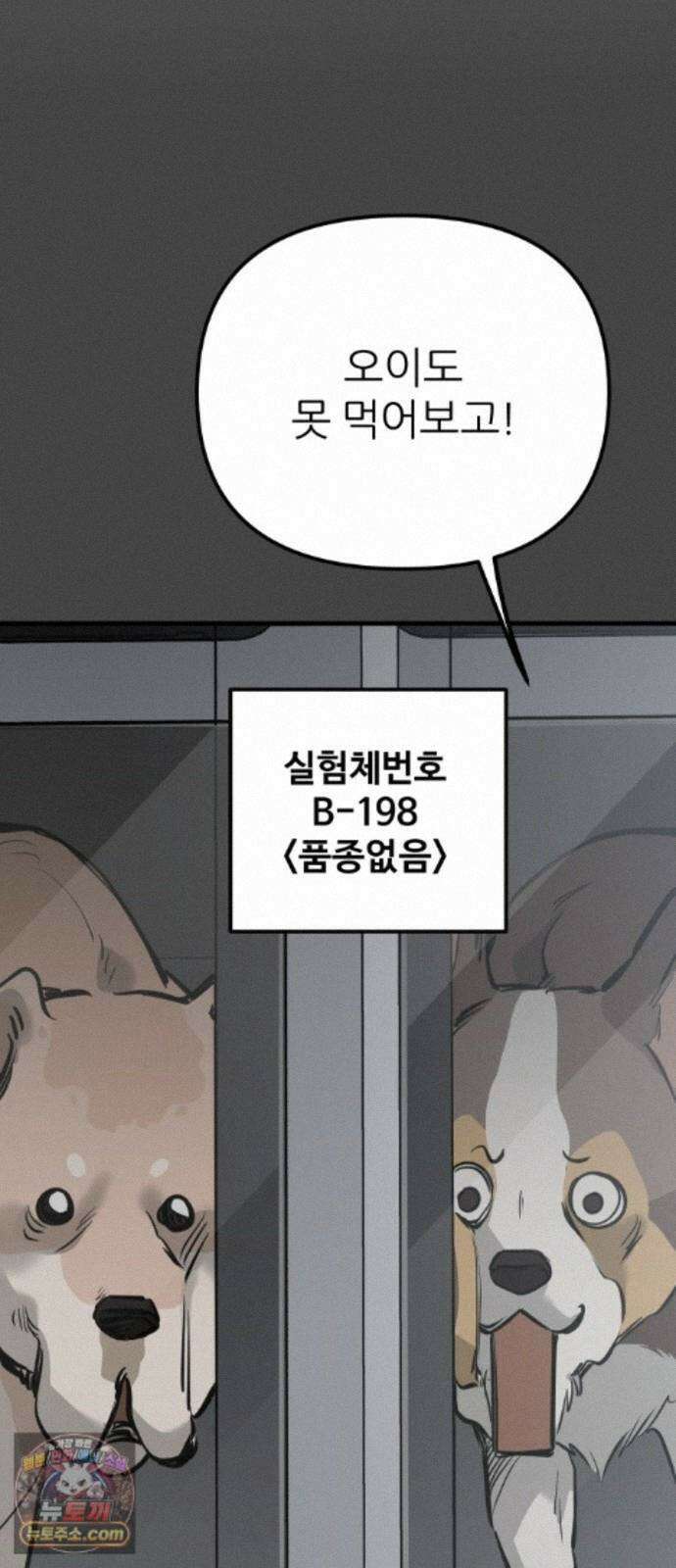 개같이 탈출 시즌2 36화 26