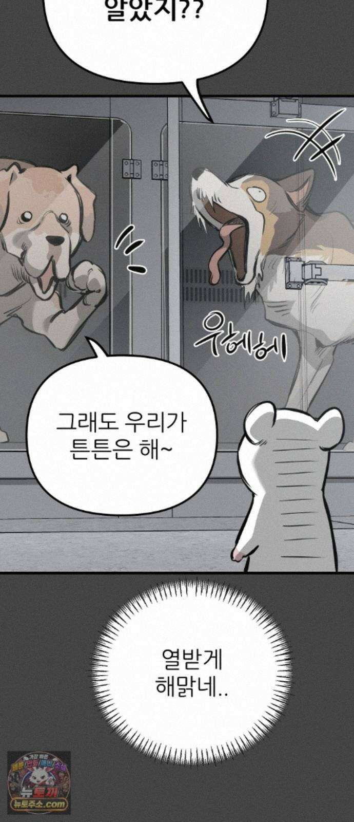 개같이 탈출 시즌2 36화 31