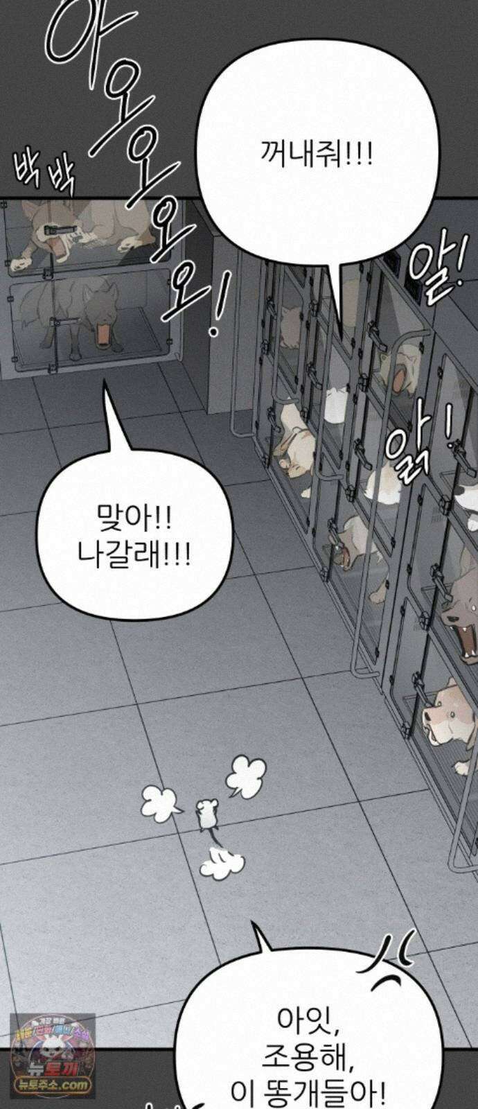 개같이 탈출 시즌2 36화 35