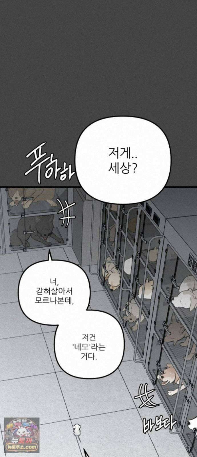 개같이 탈출 시즌2 36화 41
