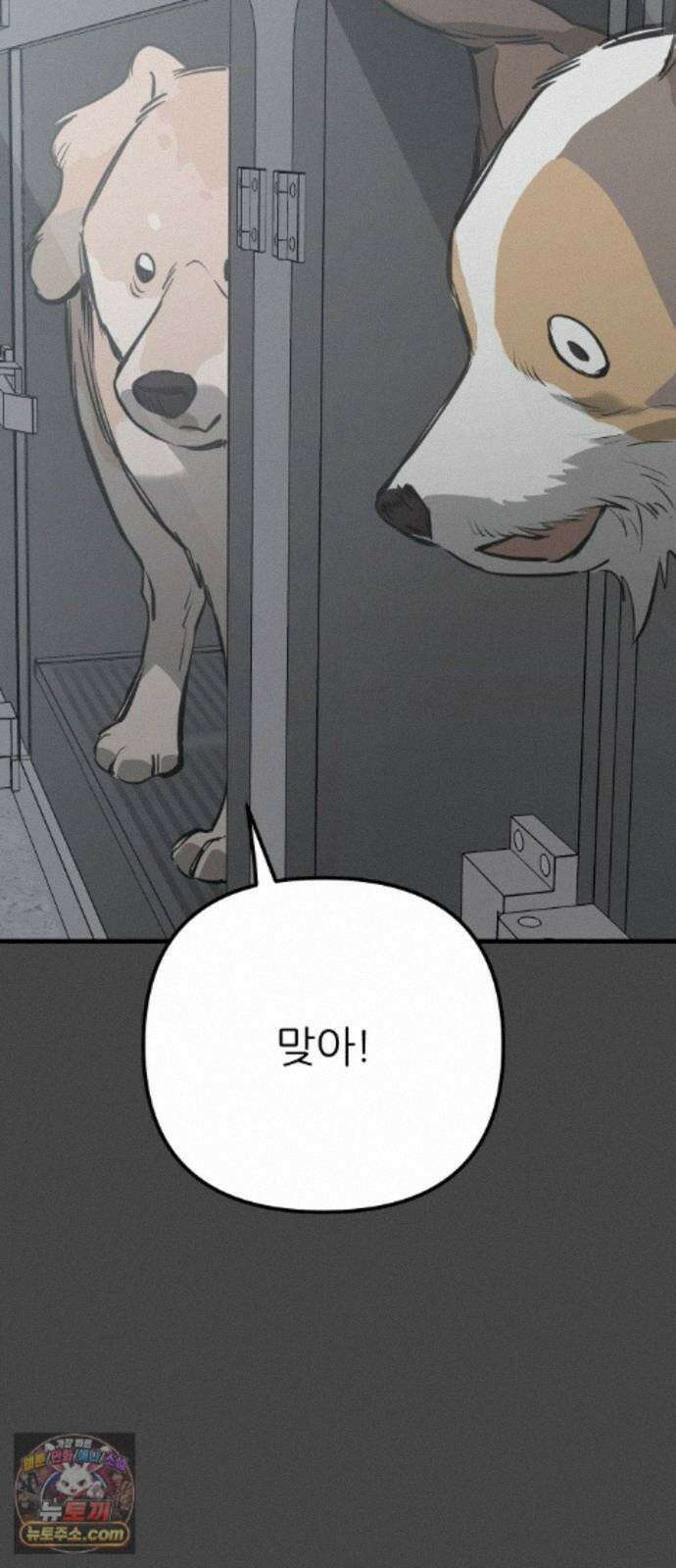 개같이 탈출 시즌2 36화 77