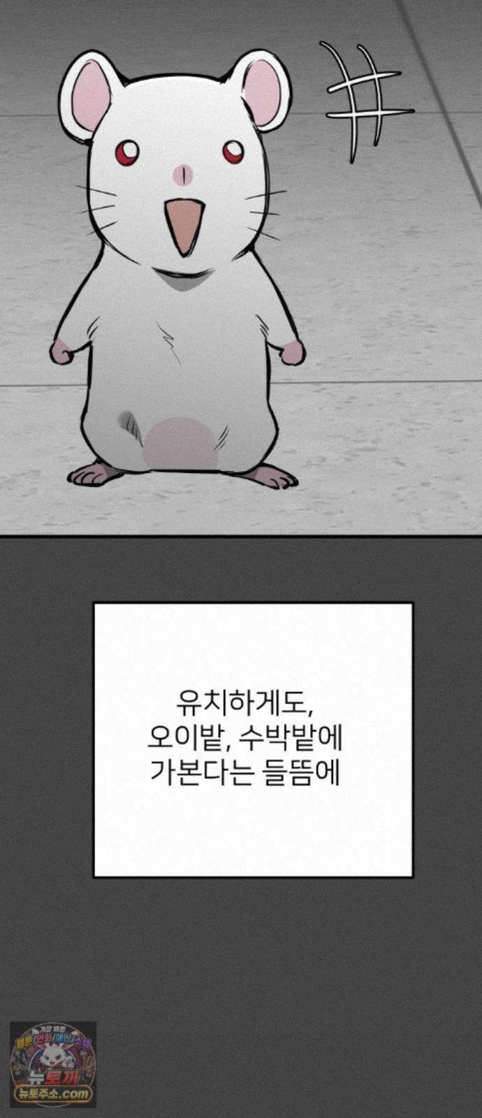 개같이 탈출 시즌2 36화 82